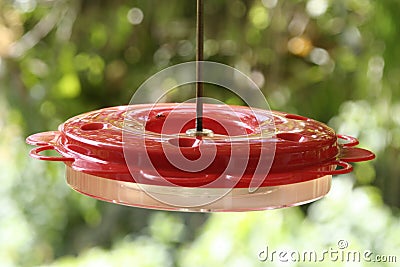 Water container for birds Stock Photo