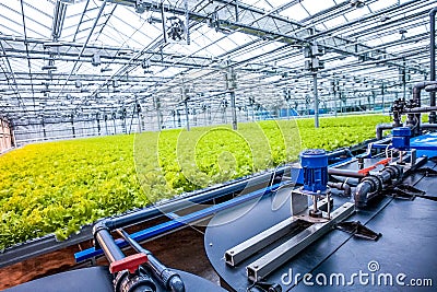 Water conveying at hydroponic plantation Stock Photo