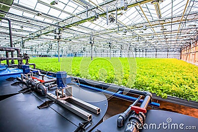 Water conveying at hydroponic plantation Stock Photo