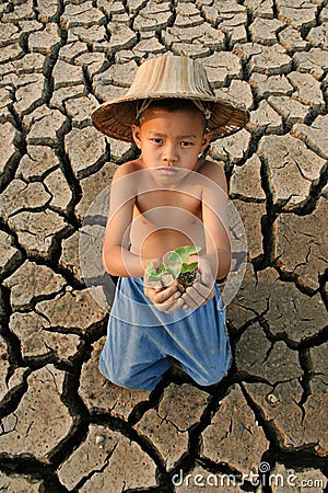 Water crisis child hold small tree Stock Photo