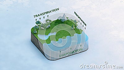 Water cycle 3d model showing Transpiration Precipitation Evaporation Stock Photo