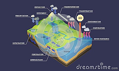 Water cycle diagram with rain flow circulation and in 3D illustration Cartoon Illustration