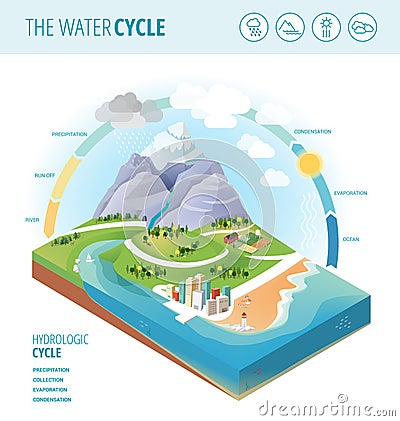 The water cycle Vector Illustration