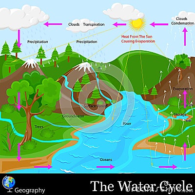 Water Cycle Vector Illustration