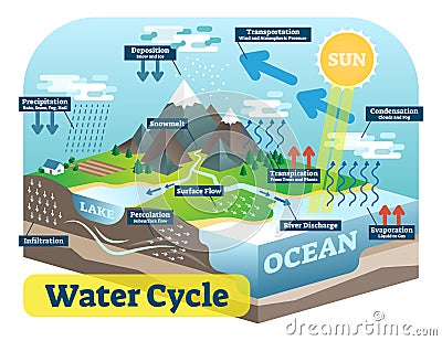 Water cycle graphic scheme, vector isometric illustration. Vector Illustration