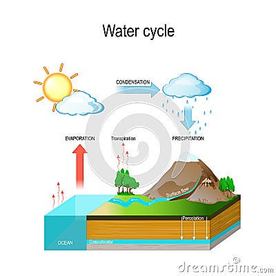 Water cycle. vector illustration with and geological relief Vector Illustration