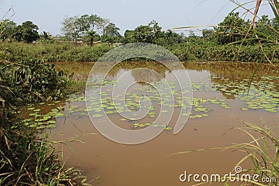 Water dam Stock Photo
