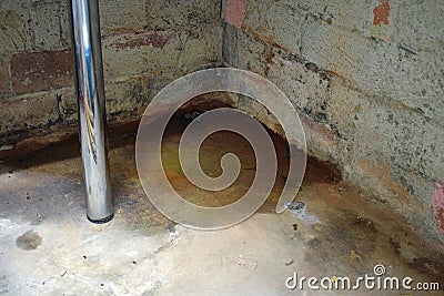 Water damage and mold Stock Photo