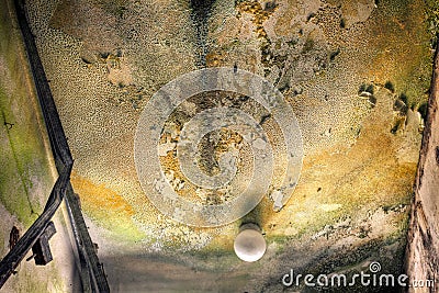 Water Damaged Ceiling Royalty-Free Stock Photo | CartoonDealer.com