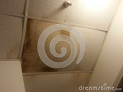 Water Damaged Ceiling Tiles Stock Photo