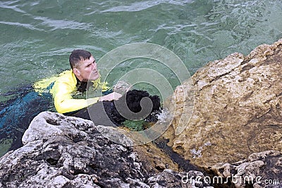 Water Dog to the Rescue Stock Photo