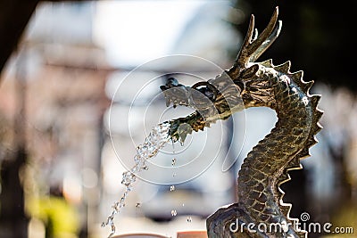 A Water Dragon Stock Photo