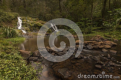 Water drop in El Soberbio between the jungle forest in Misiones, Argentina Stock Photo