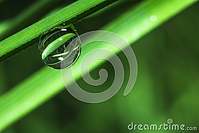 Water drop on grass in macro Stock Photo