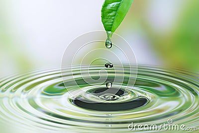 Water drop on leaf Stock Photo