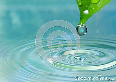 Water drop on leaf Stock Photo