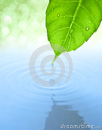Water drop and leaf with ripple and reflection Stock Photo