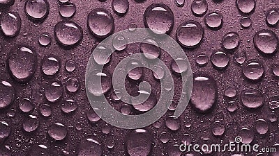 water droplet background natural dewdrop Stock Photo