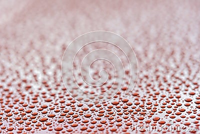 Water Droplet beading Stock Photo