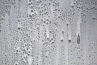 Water droplets Stock Photo