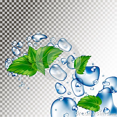 Water droplets and mint leaves. Blows and drops. Freshness of water. Vector Illustration