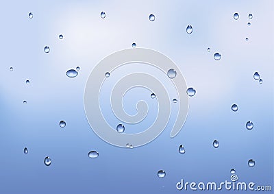 Water Droplets After Rain Vector Illustration