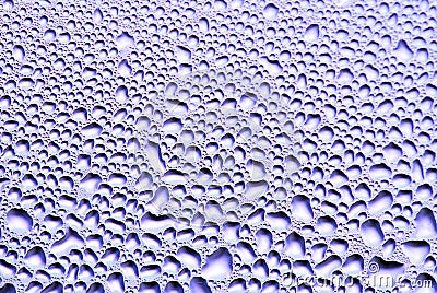 Water Drops Stock Photo