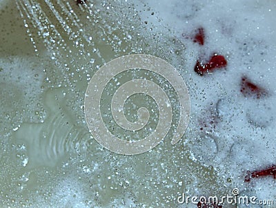 water drops in the bathroom in which foam and rose petals selective focus. holiday Valentines day Stock Photo