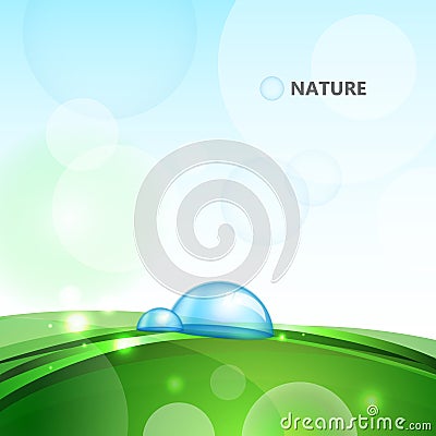 Water drops on blade of grass Vector Illustration