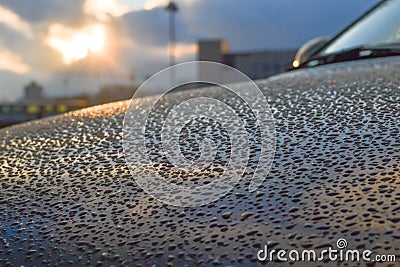 Water drops on the hood of the car in the sunset light, mirroring., reflection. Color playing. City background Stock Photo