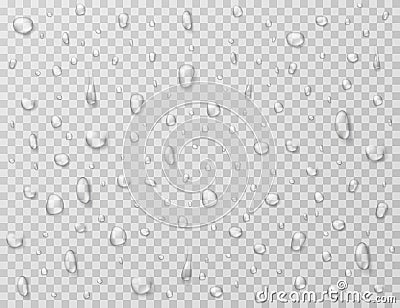 Water drops isolated. Rain drop splashes, droplets on glass transparent window. Raindrop vector texture Vector Illustration
