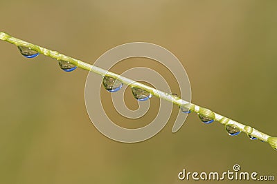 Water drops Stock Photo