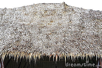 Water drops on thatched roof. Roof made of dried leaves of the cogon grass In the countryside Stock Photo