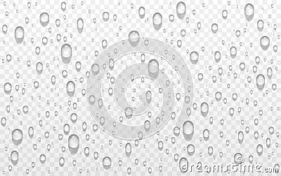 Water drops on transparent backdrop. Droplets with shadow. Wet window with rain effect. Realistic dew drops. Shower Vector Illustration