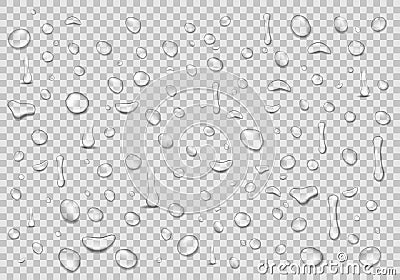 Water drops transparent background. Clean drop condensation. Realistic water background vector illustration Vector Illustration