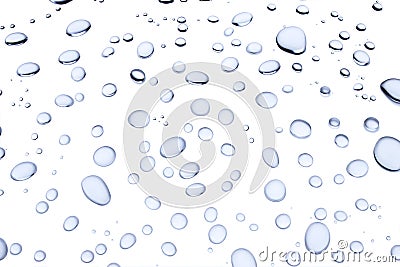 Water Drops White Background Stock Photo