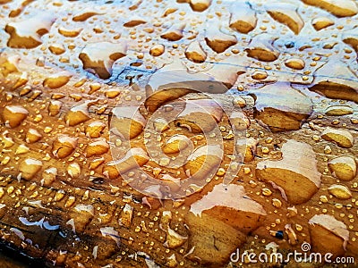 Water drops on wood Stock Photo