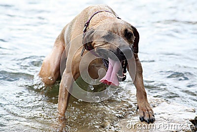 Water everywhere and still thirsty Stock Photo