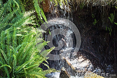 Water Fall Stock Photo