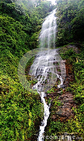 Water falls that flows with peaceful heart Stock Photo
