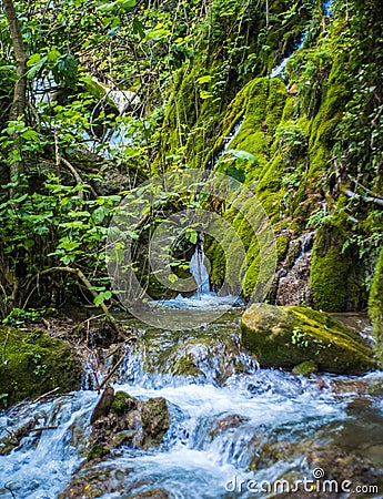 Water falls in Mediterranean forest, with large stones and intertwined trees Stock Photo