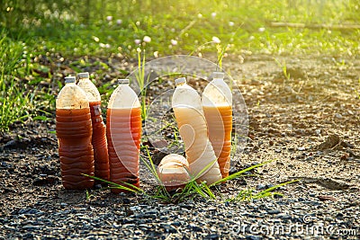 Photosynthetic Bacteria PSB in plastic bottles for organic agriculture. Stock Photo