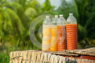 Photosynthetic Bacteria PSB in plastic bottles for organic agriculture. Stock Photo