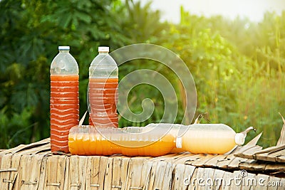 Photosynthetic Bacteria PSB in plastic bottles for organic agriculture. Stock Photo