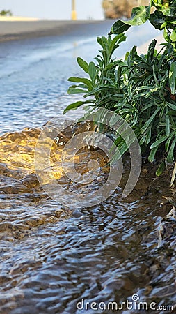 Water flow after snowmelt Stock Photo