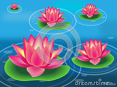 Water flower and lily pad Vector Illustration