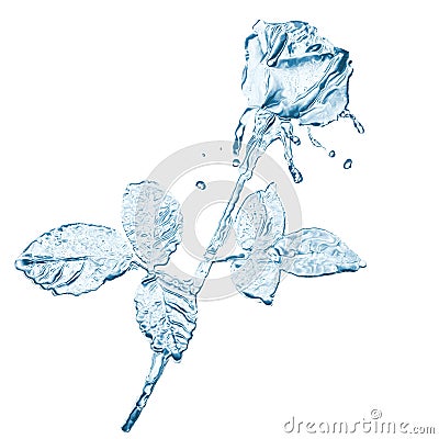 Water flower splashes Stock Photo