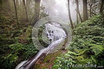 Water flowing at a beautiful waterfall at Inthanon nation park, Chiangmai, Thailand. Stock Photo