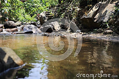 Water flowing in natural river Stock Photo