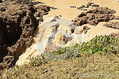 Water flows of Blue Nile falls Stock Photo